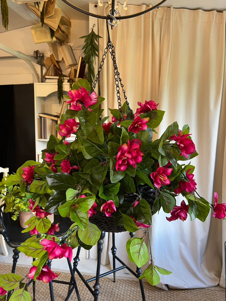 Hanging Azalea basket