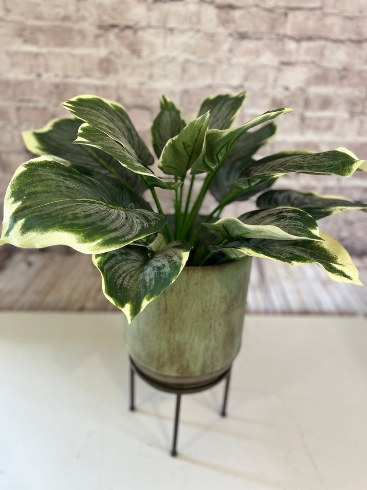 Artificial Hosta plant