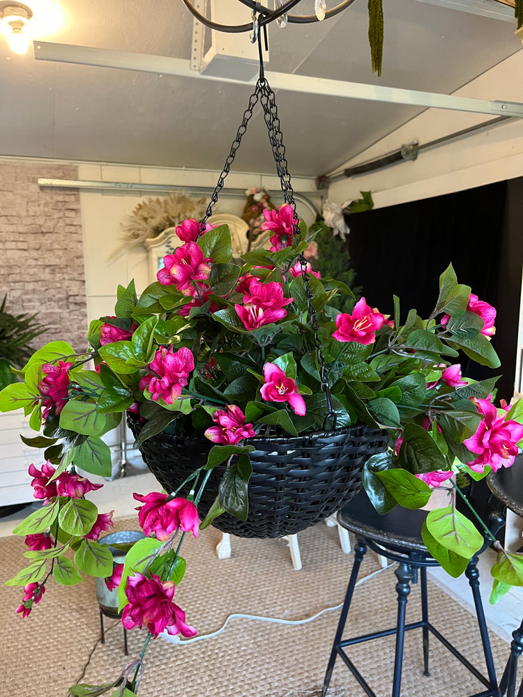 Hanging Azalea basket