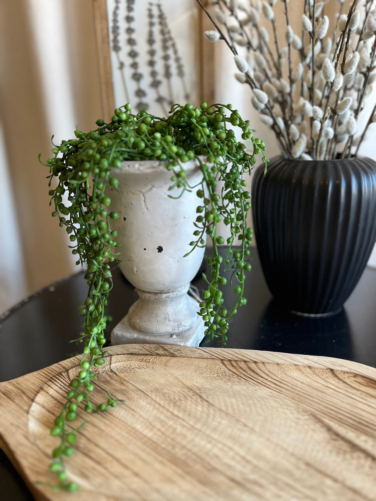 Succulent vase