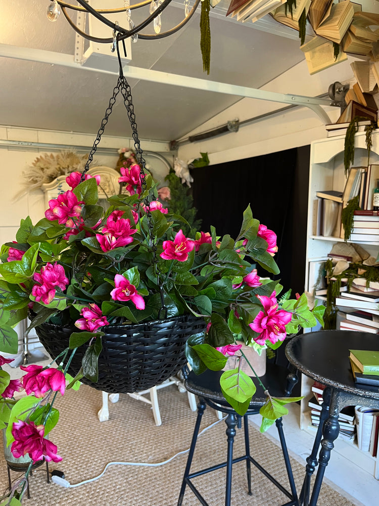 Hanging Azalea basket