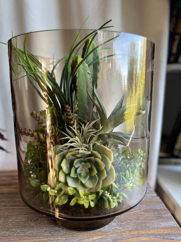 Glass succulent terrarium